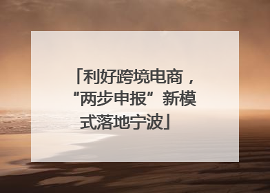 利好跨境电商，“两步申报”新模式落地宁波