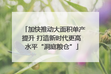 加快推动大面积单产提升 打造新时代更高水平“洞庭粮仓”