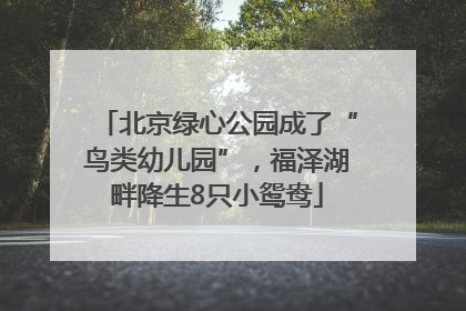 北京绿心公园成了“鸟类幼儿园”，福泽湖畔降生8只小鸳鸯