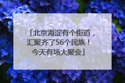 北京海淀有个街道，汇聚齐了56个民族！今天有场大聚会