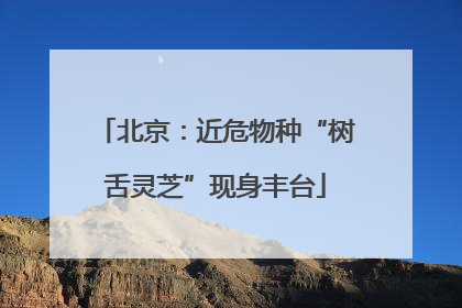 北京：近危物种“树舌灵芝”现身丰台