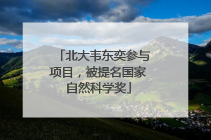 北大韦东奕参与项目，被提名国家自然科学奖