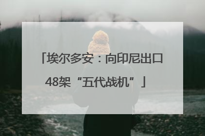 埃尔多安：向印尼出口48架“五代战机”