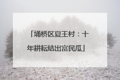 埇桥区夏王村：十年耕耘结出富民瓜