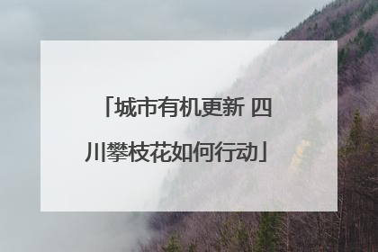 城市有机更新 四川攀枝花如何行动