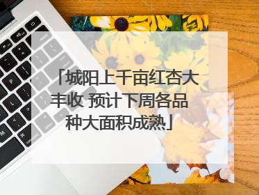 城阳上千亩红杏大丰收 预计下周各品种大面积成熟