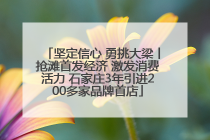 坚定信心 勇挑大梁丨抢滩首发经济 激发消费活力 石家庄3年引进200多家品牌首店