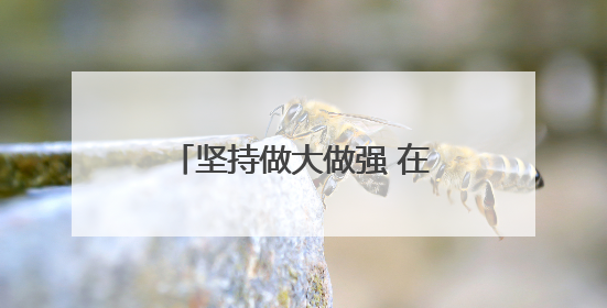 坚持做大做强 在多元化经营中逐步实现稳定盈利——石家庄交投集团做优做强典型报道之三