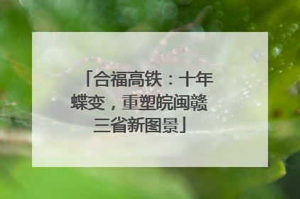 合福高铁：十年蝶变，重塑皖闽赣三省新图景