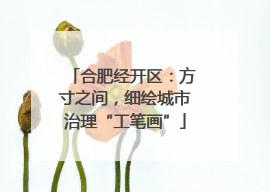 合肥经开区：方寸之间，细绘城市治理“工笔画”