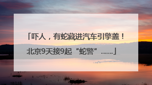 吓人，有蛇藏进汽车引擎盖！北京9天接9起“蛇警”……