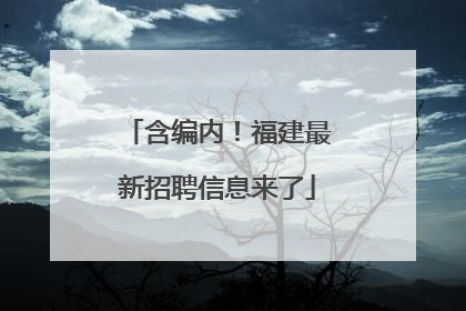 含编内！福建最新招聘信息来了