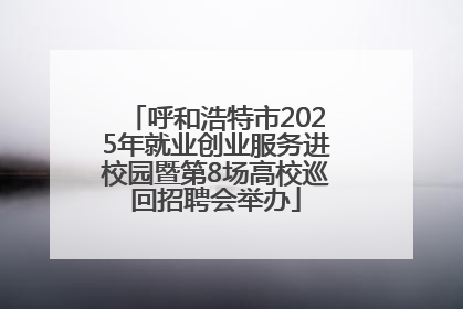 呼和浩特市2025年就业创业服务进校园暨第8场高校巡回招聘会举办