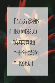 呈贡多部门协同发力 筑牢滇池“十年禁渔”防线