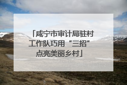 咸宁市审计局驻村工作队巧用“三招”点亮美丽乡村