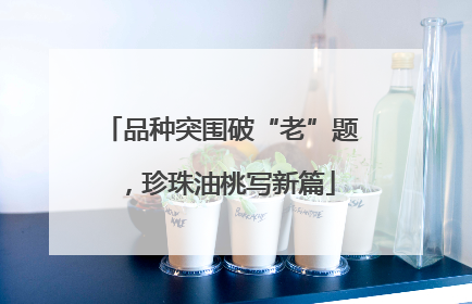 品种突围破“老”题，珍珠油桃写新篇