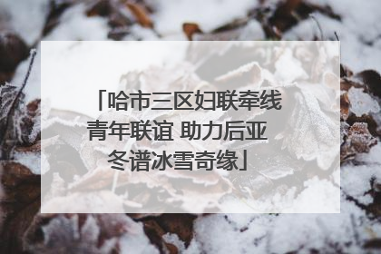 哈市三区妇联牵线青年联谊 助力后亚冬谱冰雪奇缘