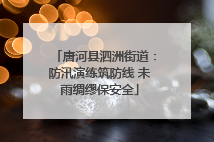 唐河县泗洲街道：防汛演练筑防线 未雨绸缪保安全
