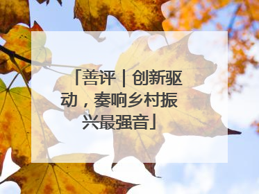 善评｜创新驱动，奏响乡村振兴最强音