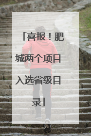 喜报！肥城两个项目入选省级目录