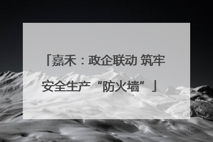 嘉禾：政企联动 筑牢安全生产“防火墙”