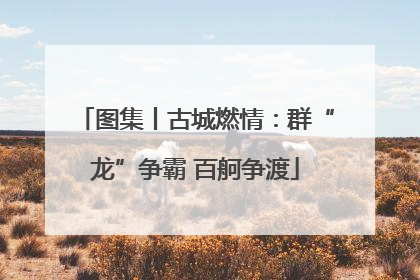 图集丨古城燃情：群“龙”争霸 百舸争渡