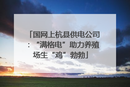 国网上杭县供电公司：“满格电”助力养殖场生“鸡”勃勃