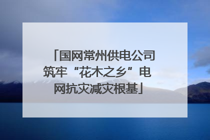 国网常州供电公司筑牢“花木之乡”电网抗灾减灾根基