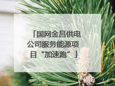国网金昌供电公司服务能源项目“加速跑”