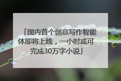 国内首个创意写作智能体即将上线，一小时或可完成30万字小说