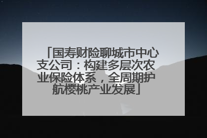 国寿财险聊城市中心支公司：构建多层次农业保险体系，全周期护航樱桃产业发展
