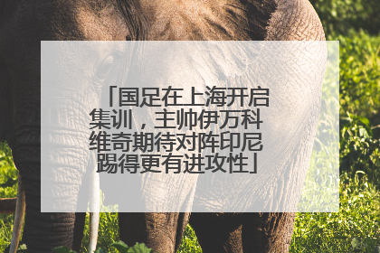 国足在上海开启集训，主帅伊万科维奇期待对阵印尼踢得更有进攻性