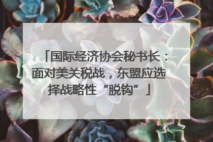 国际经济协会秘书长：面对美关税战，东盟应选择战略性“脱钩”