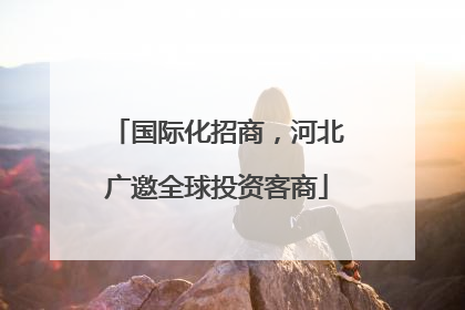 国际化招商，河北广邀全球投资客商