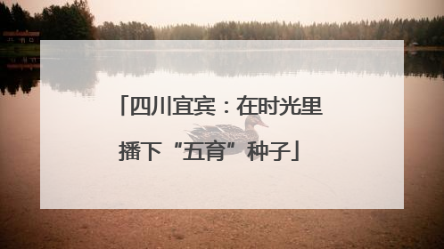 四川宜宾：在时光里播下“五育”种子