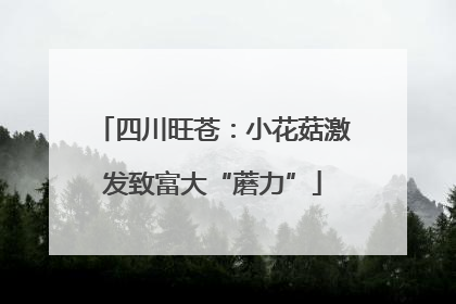 四川旺苍：小花菇激发致富大“蘑力”