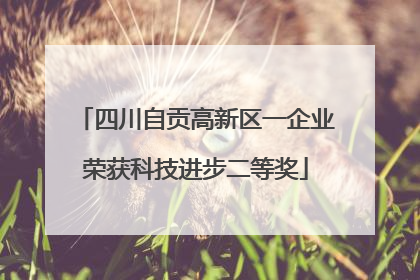 四川自贡高新区一企业荣获科技进步二等奖
