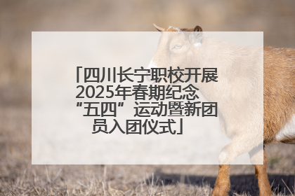 四川长宁职校开展2025年春期纪念“五四”运动暨新团员入团仪式