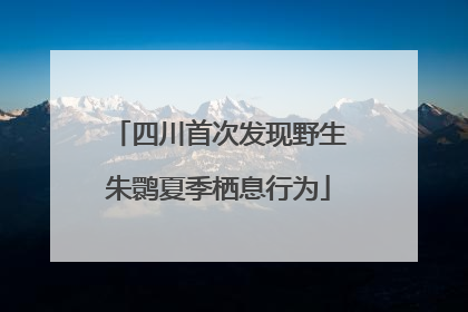 四川首次发现野生朱鹮夏季栖息行为