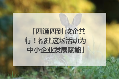 四通四到 政企共行！福建这场活动为中小企业发展赋能