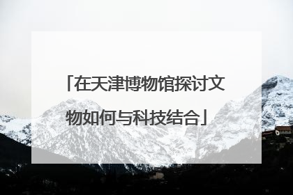 在天津博物馆探讨文物如何与科技结合