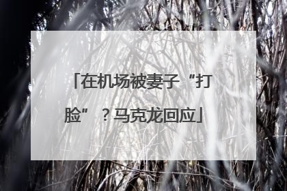 在机场被妻子“打脸”？马克龙回应