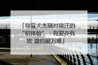 导盲犬杰瑞对宿迁的“初体验”：有爱亦有坎 温情破万难