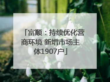 富顺：持续优化营商环境 新增市场主体1907户