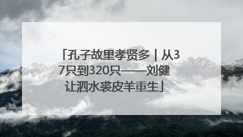 孔子故里孝贤多｜从37只到320只——刘健让泗水裘皮羊重生