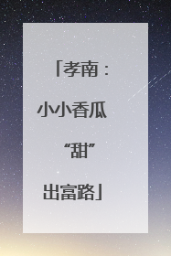 孝南：小小香瓜 “甜”出富路
