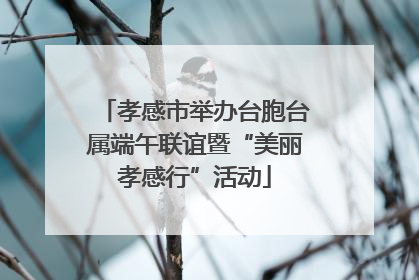 孝感市举办台胞台属端午联谊暨“美丽孝感行”活动