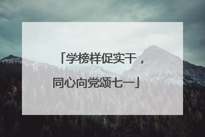 学榜样促实干，同心向党颂七一