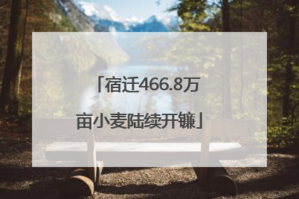 宿迁466.8万亩小麦陆续开镰