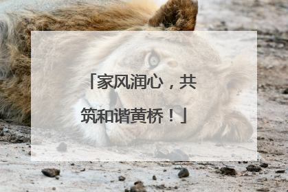 家风润心，共筑和谐黄桥！